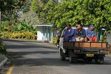local Transport