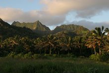 Rarotonga Mountains