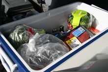 unsere K&uuml;hlbox frisch gef&uuml;llt