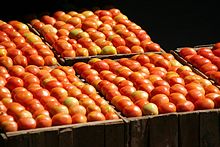 Tomaten aus den G&auml;rten am Lake Inle