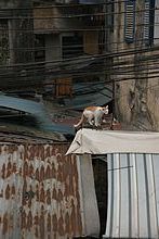 &uuml;ber den D&auml;chern von Ha Noi