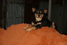 Sandd&uuml;ne von Mui Ne?