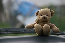 der B&auml;r als Co-Co-Pilot
